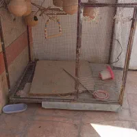 قفس پرنده اهنی