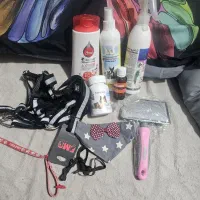 وسایل سگ خانگی