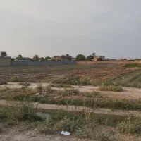 فروش زمین 540 متری جریه