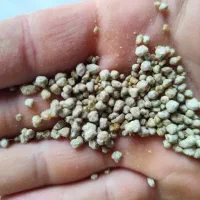 سلام کود سیاه سوپر فسفات پتاس رازی گوگرد|خدمات باغبانی و درختکاری|دوگنبدان, |دیوار