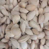 سلام درود فراوان خدمت یک ویک عزیزان تخفیف مارکت|فروشگاه و مغازه|زرقان, |دیوار