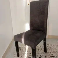 صندلی ناهار خوری ۸ عدد|میز و صندلی غذاخوری|رودسر, |دیوار