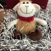 تولید کننده پوشال و گل در اصفهان