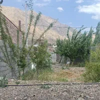 زمین-ده-در-ده