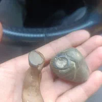 سنگ های قدیمی|کلکسیون اشیاء عتیقه|میاندوآب, |دیوار