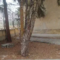 1500-متر-زمین-باغی