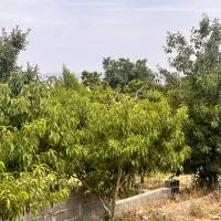 فروش تک قطعه ۲۱۰متر بر۱۰ اقساط۵ماهه جابان دماوند|فروش زمین و ملک کلنگی|دماوند, دماوند|دیوار