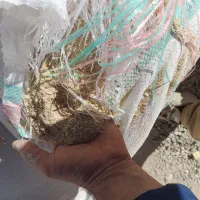 سبوس|لوازم جانبی حیوانات|قیدار, |دیوار