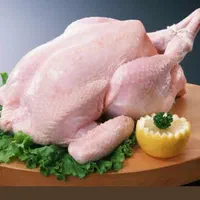 بوقلمون شنیسل مغز ران