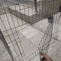 پارک بازی انواع حیوانات خانگی