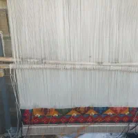 دار قالی همراه با چند کیلو خومه