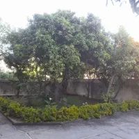 فروش واحد