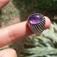 آماتیس برزیلی خوش رنگ|بدلیجات|سبزوار, امیر کبیر|دیوار