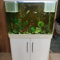 آکواریوم شیشه خم