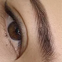 اکستنشن و کاشت هیدن مژه و فیبروز ابرو میکروبلدینگ|خدمات آرایشگری و زیبایی|شیراز, شهرک آرین|دیوار