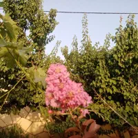 خانه ویلای مسکونی کلاکوب شاهنامه جاده کلات|فروش خانه و ویلا|مشهد, کلاکوب|دیوار