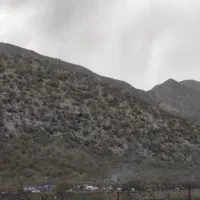 زمین کشاورزی روستا سرمرغ علیا