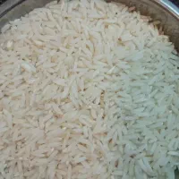 برنج هاشمی دو الکه