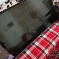 تلوزیون ۴۳ کم کارکرد اندرید