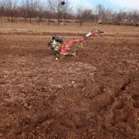 شخم زنی باغات و گل خانه ها|خدمات باغبانی و درختکاری|مرند, |دیوار