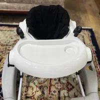 روروئک دلیجان