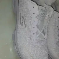 کفش اسکیچرز اصل