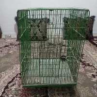 قفس هدیلات خورموج