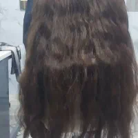 کارگاه خرید مو