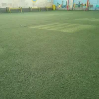 چمن مصنوعی 25 میل
