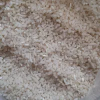 برنج درجه یک هاشمی و لاشه و نیم دانه هاشمی|خوردنی و آشامیدنی|رضوانشهر, |دیوار