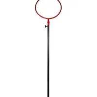 حلقه پاسوری