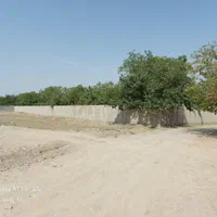 زمین ۱ هکتاری/در هشتگرد/ انواع درختان میوه/نگهبانی|فروش زمین و ملک کلنگی|هشتگرد, تهران دشت|دیوار