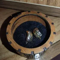 گوشواره طلانو|جواهرات|بجنورد, |دیوار