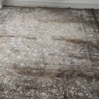 فرش نو و تازه