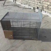 قفس حیوانات خانگی|لوازم جانبی حیوانات|لنجان, |دیوار