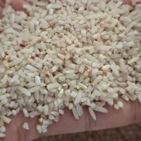 نیم دانه هاشمی|خوردنی و آشامیدنی|چابکسر, |دیوار