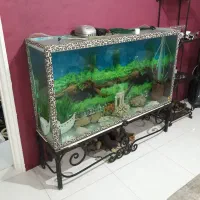 شیشه آکواریوم با پایه