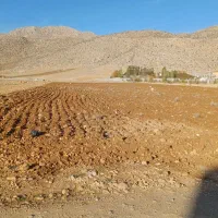 زمین بکر  سپیدان  هماشهر  تیس خانی|فروش زمین و ملک کلنگی|همایجان, |دیوار