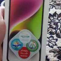 ۱۴نرمال پلپ