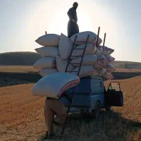 وانت نیسان وانت بارکرایه|خدمات حمل و نقل|شهرکرد, |دیوار