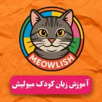 زبان خصوصی کودک