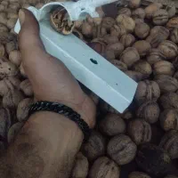 کاردر منزل واقعی بدون مهارت گردو بشکن پول بگیر|استخدام صنعتی، فنی، مهندسی|تهران, منیریه|دیوار