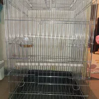 قفس بزرگ نو
