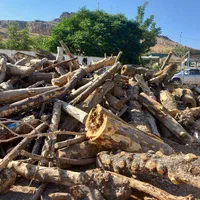 خرید چوب های خشک وتر با بهترین قیمت روز