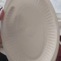 تعدادی ظرف گیاهی|ظروف نگهدارنده، پلاستیکی، یک‌بارمصرف|بهبهان, |دیوار