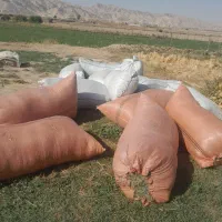 فروش یونجه گرفته آماده 500 کیلو و کاه ماشک گرفته|خدمات باغبانی و درختکاری|چرام, |دیوار