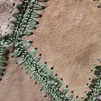 لباس قدیمی قاجار،لباس چرم|کلکسیون اشیاء عتیقه|قرچک, پارک جنگلی|دیوار