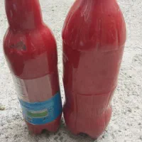 رب خانگی