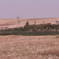 فروش دو هکتار و نیم زمین برقی بارانی واقع  دهگلان|فروش دفتر صنعتی، کشاورزی، تجاری|دهگلان, |دیوار
