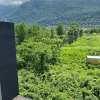 مزگاه /ویوی ابدی کوه و جنگل/ویلامدرن|فروش خانه و ویلا|نوشهر, |دیوار